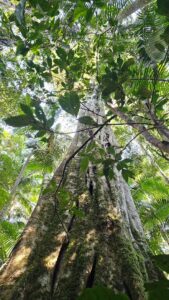 Create your Village Profile in Nimbin Village