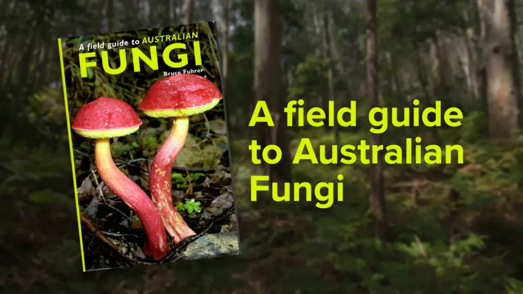 Australian fungi, Nimbin Hemp Embassy