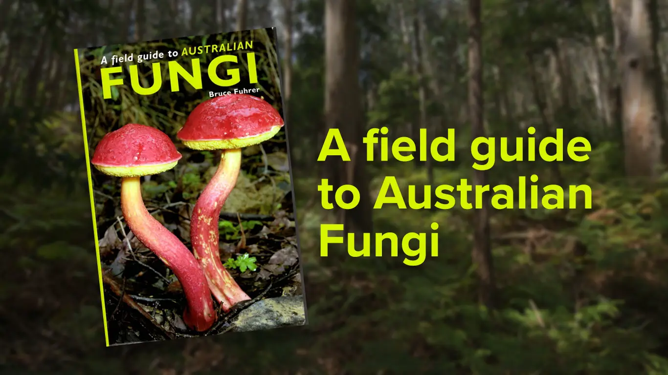 A Field Guide to Australian Fungi by Bruce A. Fuhrer