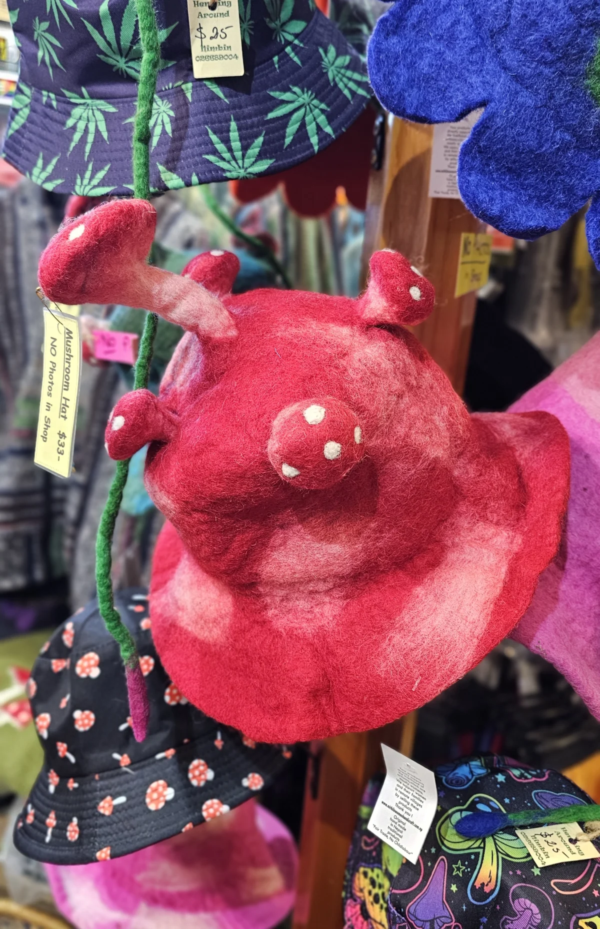 Mushroom Hat