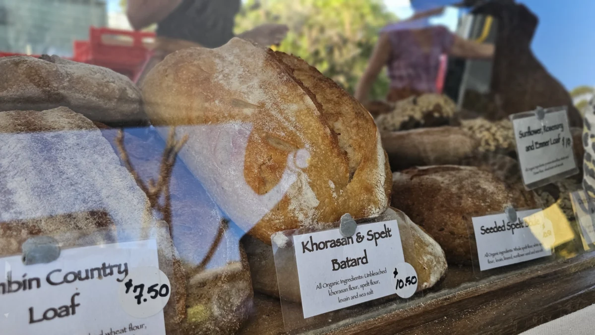Khorasan & Spelt Batard