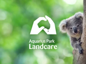 Help us regenerate Aquarius Park and Nimbin Rainbow Walk