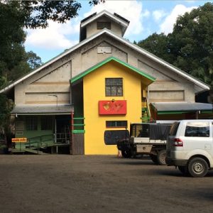 Nimbin SoundTrail: From Buttery to Bush Factory